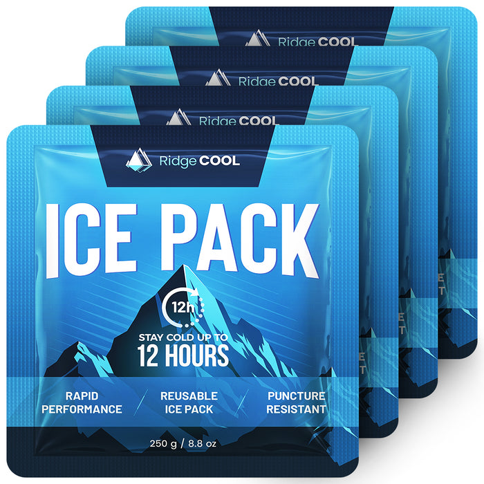 4 Pack Large Reusable Ice Packs for Coolers, Long Lasting Freezer Packs for Cooler Bags and Insulated Totes, Leakproof, BPA-Free, Food Safe
