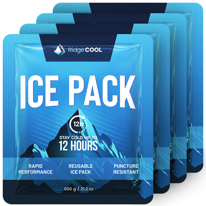 4 Pack Large Reusable Ice Packs for Coolers, Long Lasting Freezer Packs for Cooler Bags and Insulated Totes, Leakproof, BPA-Free, Food Safe