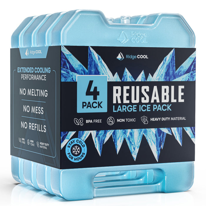 4 Pack Reusable Large Ice Packs for Cooler, Long Lasting Freezer Packs for Camping, Beach, and Road Trips, Cooler Ice Packs BPA-Free Non-Toxic, 8" x 6.7"