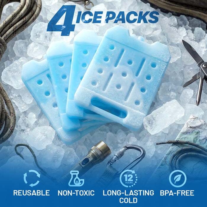 4 Pack Reusable Large Ice Packs for Cooler, Long Lasting Freezer Packs for Camping, Beach, and Road Trips, Cooler Ice Packs BPA-Free Non-Toxic, 8" x 6.7"