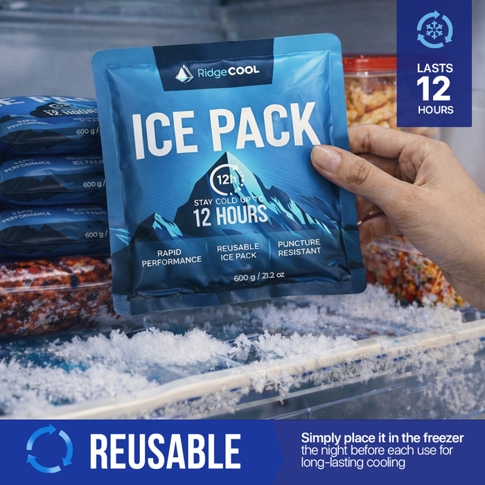 4 Pack Large Reusable Ice Packs for Coolers, Long Lasting Freezer Packs for Cooler Bags and Insulated Totes, Leakproof, BPA-Free, Food Safe