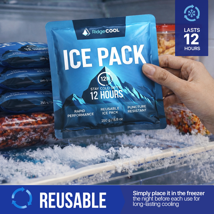 4 Pack Large Reusable Ice Packs for Coolers, Long Lasting Freezer Packs for Cooler Bags and Insulated Totes, Leakproof, BPA-Free, Food Safe