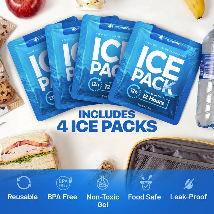 Ice Packs for Cooler, Reusable Ice Packs for Lunch Boxes, 4 Pack Long Lasting Freezer Packs, Leakproof Cooler Ice Packs for Lunch Bags and Coolers, BPA-Free, Food Safe