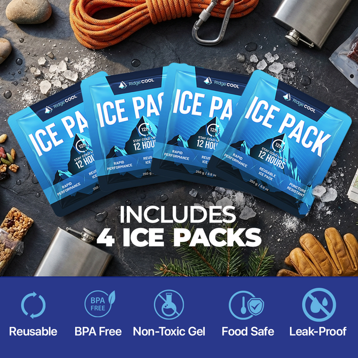 4 Pack Large Reusable Ice Packs for Coolers, Long Lasting Freezer Packs for Cooler Bags and Insulated Totes, Leakproof, BPA-Free, Food Safe