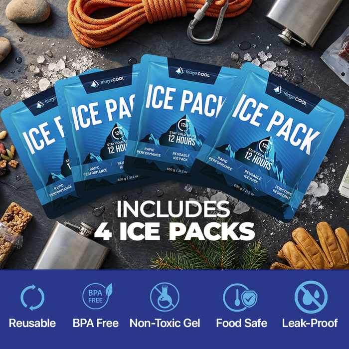 4 Pack Large Reusable Ice Packs for Coolers, Long Lasting Freezer Packs for Cooler Bags and Insulated Totes, Leakproof, BPA-Free, Food Safe
