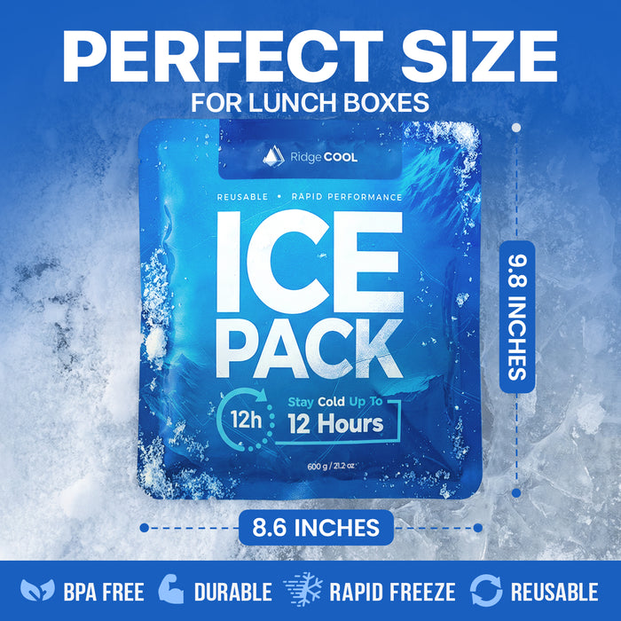 Ice Packs for Cooler, Reusable Ice Packs for Lunch Boxes, 4 Pack Long Lasting Freezer Packs, Leakproof Cooler Ice Packs for Lunch Bags and Coolers, BPA-Free, Food Safe