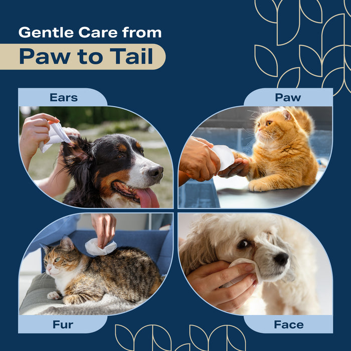 800 Bulk Dog Wipes for Paws and Butt - Pet Wipes for Dogs and Cats