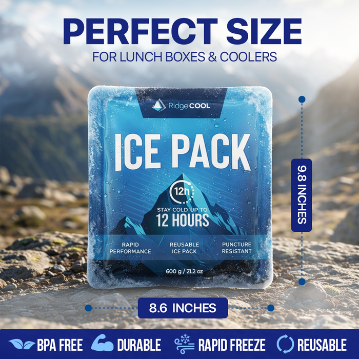 4 Pack Large Reusable Ice Packs for Coolers, Long Lasting Freezer Packs for Cooler Bags and Insulated Totes, Leakproof, BPA-Free, Food Safe