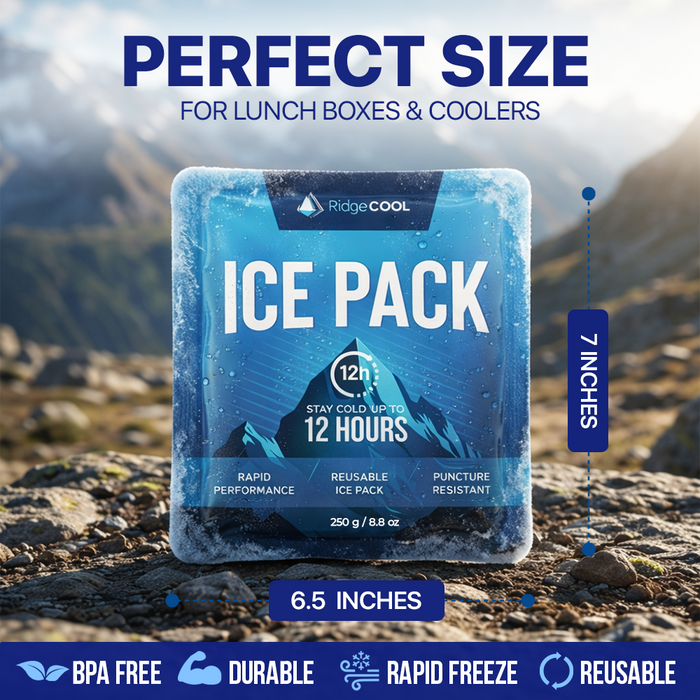4 Pack Large Reusable Ice Packs for Coolers, Long Lasting Freezer Packs for Cooler Bags and Insulated Totes, Leakproof, BPA-Free, Food Safe