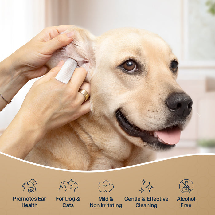 Dog & Cat Ear Cleaning Wipes – 100 Count Mint Scented Pet Ear Finger Wipes