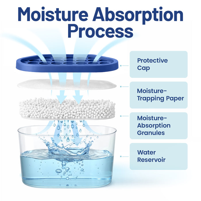 6 Pack Premium Moisture Absorbers & Dehumidifier Tubs for Car